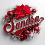 Sandra Virgen Rebollo - Facebook