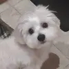emamurcia - @sandravisedo - TikTok