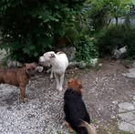 Alessandra Visintin - Facebook