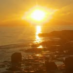 Sandra Visintin - @sandra_vis56 - Instagram
