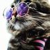 Sandra Vivar - Facebook