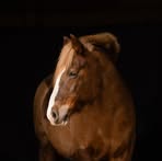 Sandra Vogler - Facebook
