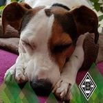 Sandra Vogler - @sandra.vogler.78 - Instagram