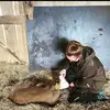 Sandra Vogler - @sandra.vogler - TikTok