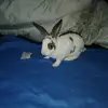 user6504422878684 - @sandra.vohs - TikTok