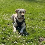 Sandra Bechert Volkmann - @maxstrolch - Instagram