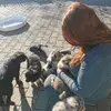von Glitzerpfötchen - @sandravonbordi - TikTok