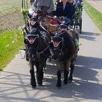 Sandra Voß - Facebook