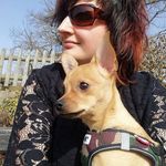 Sandra Voß - @voss96 - Instagram