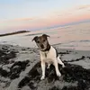 Sandra Voss - @user6937376968051 - TikTok