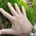 Sandra Vossen - Facebook