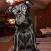 Sandra Vossen - @sandravossen0 - TikTok