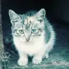 Sandra_wach - @sandra_wach - TikTok