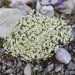 Sandra Wacker - @kletti574 - Instagram