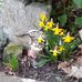 Sandra Wacker - Facebook