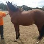 Sandra Waggoner - @waggonersandra - Instagram