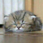 Sandra Wajda - @passat_let_her_go_ - Instagram