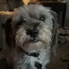sandrawake - @sandrawake - TikTok