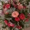 Sandra Walch - @sandra.walch - TikTok