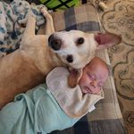 Sandra Waldrop Redd - @hokies_mom - Instagram