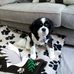 Sandra Wales - Facebook