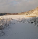 Sandra Wallén - Facebook