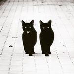 Sandra Wallenstein - @sandrawallenstein - Instagram