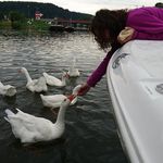 Sandra Waller - @sandra.waller.77 - Instagram