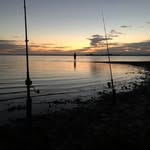 Sandra Wallis - @sandra.wallis.110 - Instagram