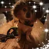 Sandra Walraven - @sandrawalraven7 - TikTok