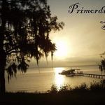 Sandra Walthall - @sandrawalthall - Instagram