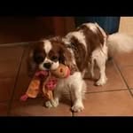 Sandra Walz - @sandra.walz.564 - Instagram