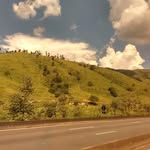 Sandra Walz - @sandra.walz.921 - Instagram