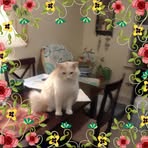 Sandra Wannamaker - Facebook
