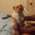 Sandra Ward  - Facebook