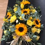 Sandra Ward - @sandraward1 - Instagram