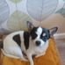 Sandra Ware - Facebook