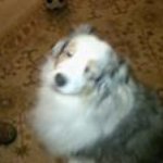 Sandra L Warner - @sandra.warner47 - Instagram