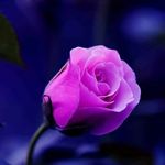 sandra warner - @sandra.warner.39108 - Instagram