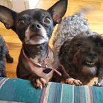 sandra warner stonehill - @sandi_stonehill - Instagram
