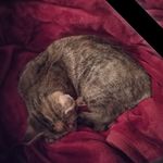 Sandra Warnick Martino - @sandy68martino - Instagram