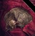 Sandra Warnick Martino - Facebook