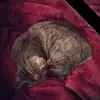 sandrawarnickmartino - @sandrawarnickmartino - TikTok