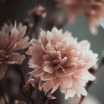@_sandra_watson - Instagram