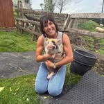 Sandra Muir Watson - @sandrawatsonbulldogs - Instagram