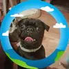 Sandra Weadon - @sandraweadon - TikTok
