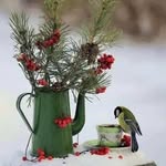 Sandra Weathers Smith - @smithsandy541 - Instagram