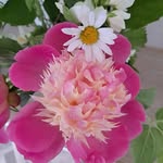 Sandra Webb - @sandra.webb.1654 - Instagram