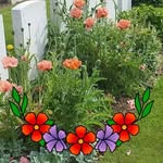 Sandra Webb - @dawnie156 - Instagram