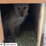 Sandra Webber - @chaifeariwilkerp430 - Instagram